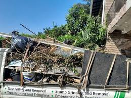 Best Office Cleanout  in Shamrock, TX